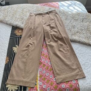 Everlane Way-high drape pant 12S